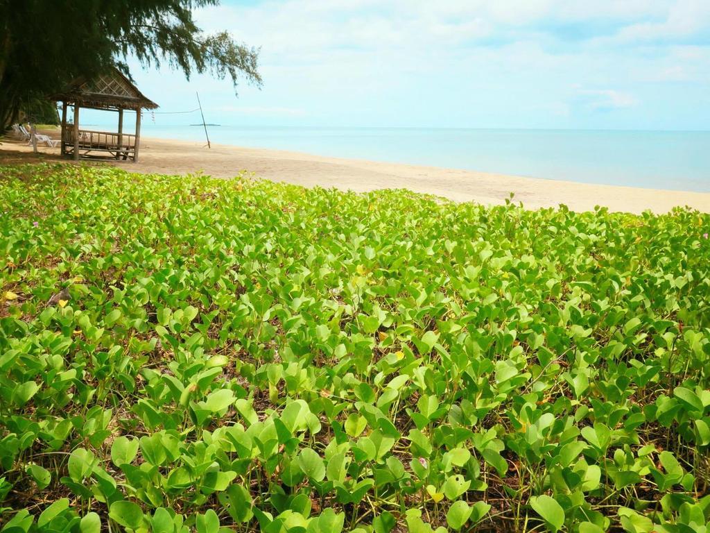 Bayview Beach Resort Ban Krut  Eksteriør bilde